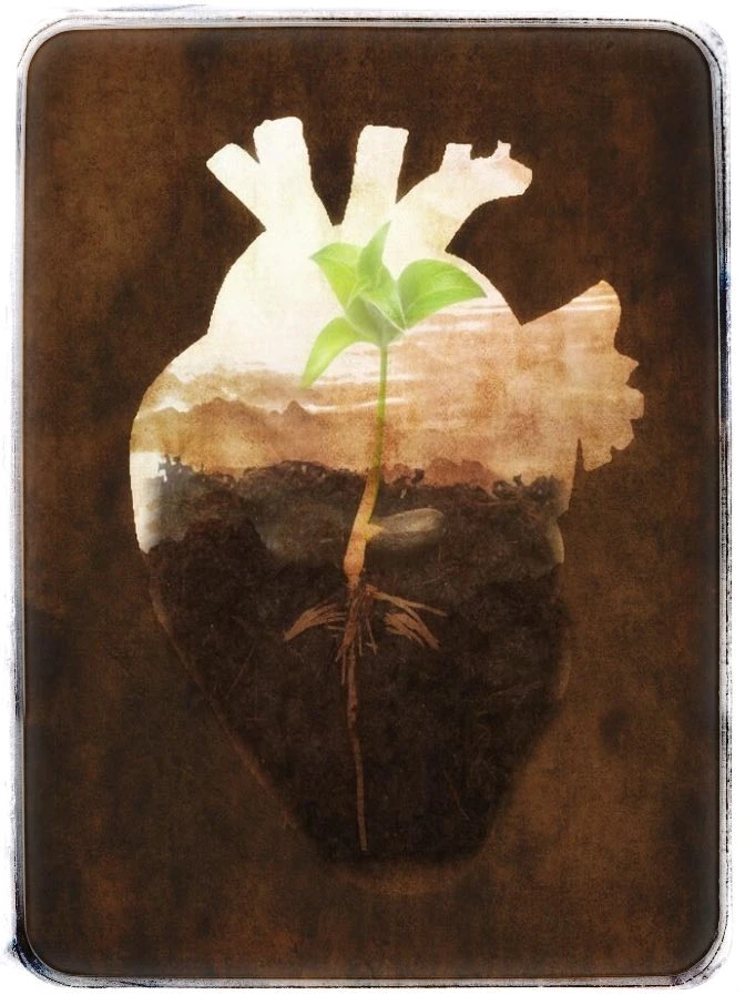 white clouds and blue sky